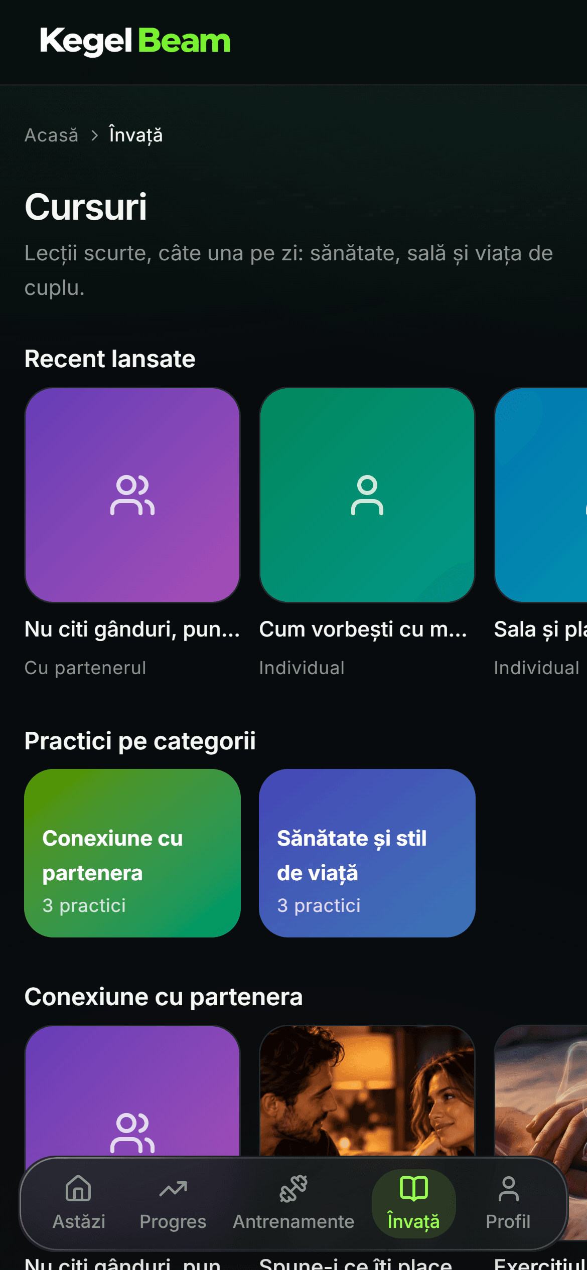 Ecranul Învață: cursuri pe categorii